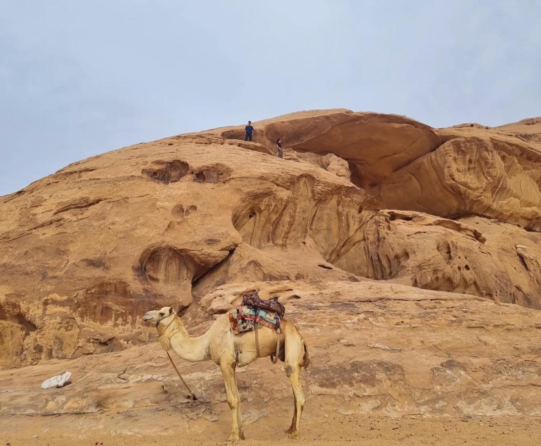 Wadi Rum Hugo Camp Extérieur photo